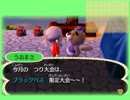 とびだせどうぶつの森でのんびりスローライフ　85日目