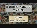 南関東競馬A級レースハイライト【2015年11月号】