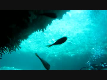 雲見ダイビング　牛着岩付近洞窟(高画質版）