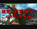 【いい肉の日】視覚、聴覚縛りでこんがり肉を焼く【MHX】