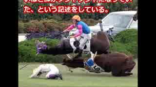 競馬レース中に落馬事故！ 今までにこんなに多いとは、、、、、、、