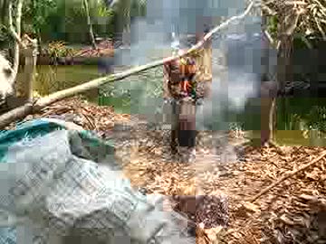ベトナムのワイルドな焼肉