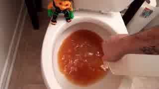 リンゴ酒をトイレに流してみた