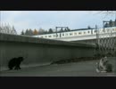 猫たちと仙台市地下鉄東西線（西公園）2015-11-29