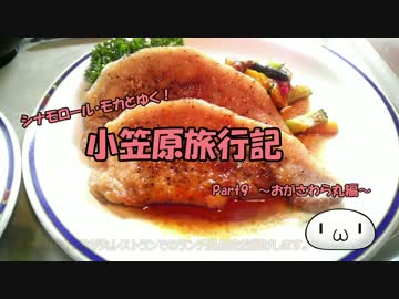 【ゆっくり】小笠原旅行記 Part9 ～おがさわら丸編～ ランチ＆外洋航行