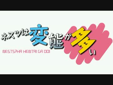 【MUGEN】金ラオウ前後狂中位級ランセレバトル【拳王杯】part122