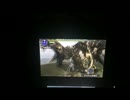 【MHX】翠玉の閃電 ライゼクス 下位装備太刀  ※直撮り