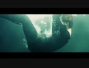 ［日本語訳］ 防弾少年団 -BTS-　”RUN”MV (HD)　