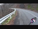 【CBR250R】若葉ライダーが峠に挑んだよー【3ヶ月目】