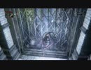 【Bloodborne】神秘99が侵入・対人 part1【DLCエリア】