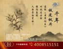千年铁皮枫斗（中国の健康食品）のCMソング