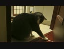 【モアクリ】 ひも遊び