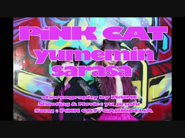 『PiNK CAT』を歌って踊ってみた【初投稿】【yumemin✕sarasa】