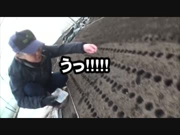 開始から2年で経営の安定に成功した新規事業の実例動画集。農業編