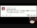 【ゆっくり保守】しばき隊に特攻隊が居た件