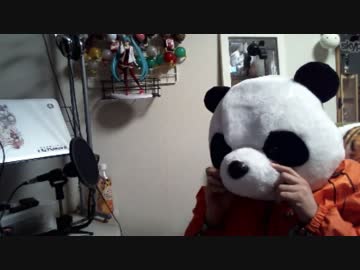 思わず演奏したくなる　異国の楽器『アサラト』