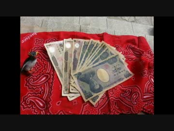 【自転車しゃしゃしゃ～】地球一周分の距離を走ってみる【part12】