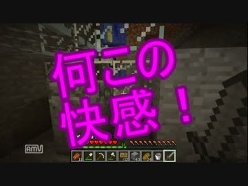 肉無用！ベジタリアンコンビのマイクラのんびり開拓史 10