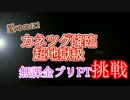 #31 【パズドラ】カネツグ降臨　ブリPT　(無課金)