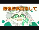 【プレイ動画】スプラトゥーンS+最強わかば目指して40【カンスト済】