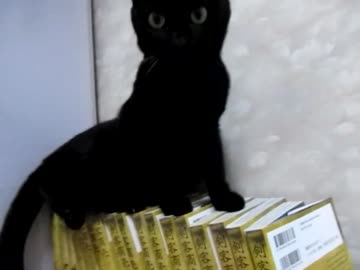 にゃもにゃも動画その15にゃ
