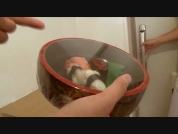 俺のいなり喰え（半ギレ）.mp4