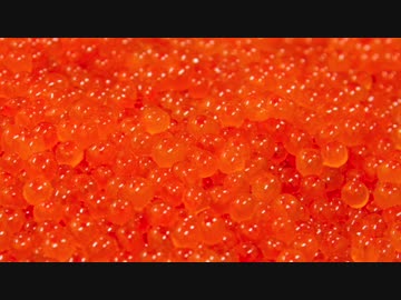 【ニコラップ】ヴァージンスジコ - クッキングダディ