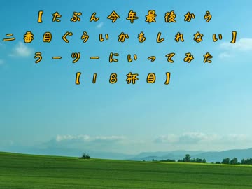 【たぶん今年最後から二番目…(略)】ラーツーにいってみた【１８杯目】