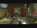 【BO3】あえてコントローラーで行く【PC】