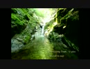 Everlasting Truth / re:plus 【カバー】