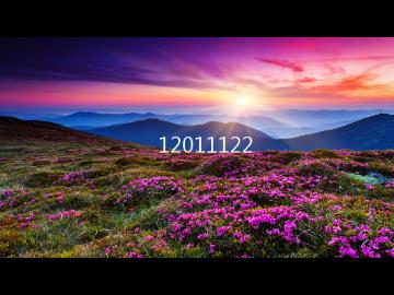 My Video