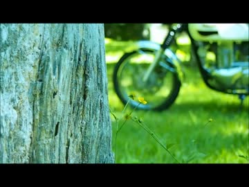 野良猫式アウトドアMemories No.14 (2012年7月)