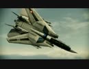 Ace Combat Assault Horizon - F-14D Super Tomcat Part2