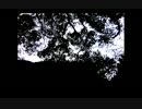 （鏡音リン）198