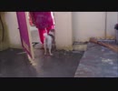 【わんこ】くうーん