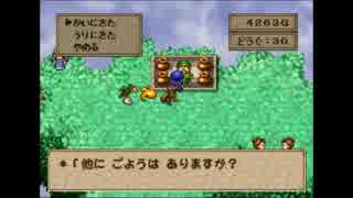 うんこちゃん『DQM　テリーのワンダーランド』　part24