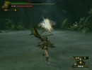 MHF　へたれアーチャー・怪鳥連続討伐！　2/2