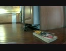 ホモと学ぶネズミvsネズミ捕り(現実)