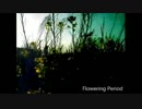 Flowering Period【UTAU】