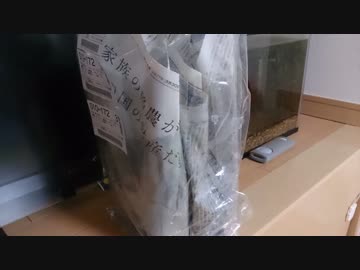 【ゆっくり】初心者が水槽を立ち上げる その11