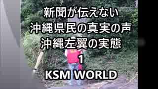 新聞が伝えない 沖縄県民の真実の声 沖縄左翼の実態 1　基地移設問題