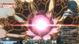 【PSO2】 金魚VS徒花　世界を壊す流転の徒花 XHソロ BrHu 4/5