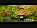 和歌山城の紅葉渓庭園【西の丸庭園】
