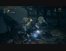 最強のNPCが征く Bloodborne The Old Hunters:Part.16
