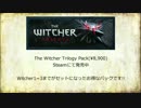 【VOICEROID+】ゆかりと茜の魔獣狩り【The Witcher】Part6