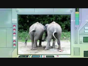 【実況】ポケットモンスター赤を4倍速で「足」で80分以内にクリアpart2