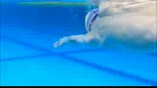 人気の クロール 動画 93本 ニコニコ動画