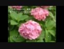 【迷探偵/フリーサウンドノベル実況】　ある夏の日、山荘にて……No,04