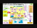 【軽減税率】(11/14)石川くみ子「公明党案でも手ぬるい。もっとやれ!」