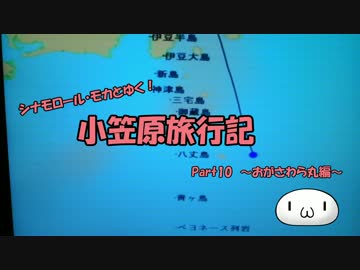 【ゆっくり】小笠原旅行記 Part10 ～おがさわら丸編～ 船室キャビン